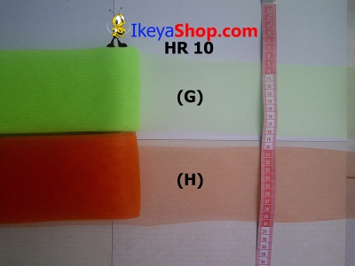 HR 10 G H  large2